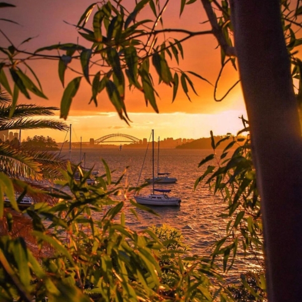 2020-06-19-07.30.54-2334529422295400346_6860455239-Sydney-at-sunset-absolute-perfection.-Soak-in-these-views-from-the-water-this-winter.-DM-us-today-