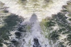 2022-10-19-14.24.23-2952216581514207678_6860455239-Cruising-into-the-weekend-onboard-ELEMENT